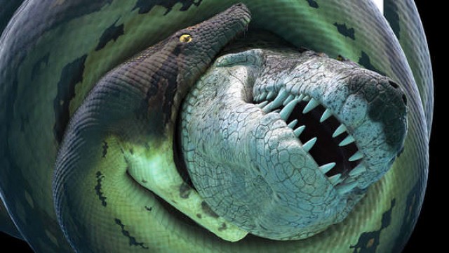 Bí Ẩn Quái Vật Khổng Lồ Titanoboa - Titanoboa: Monster Snake