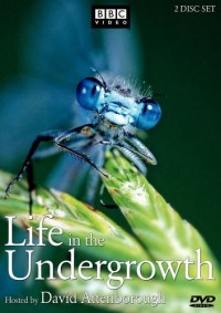 Thế Giới Côn Trùng - Life in The Undergrowth (2005)